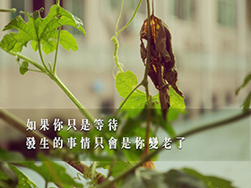 学校元旦致家长的一封信5篇