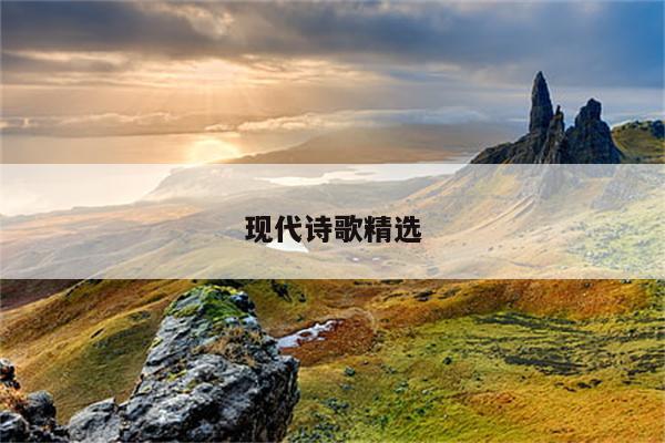 大学毕业生辅导员意见评语